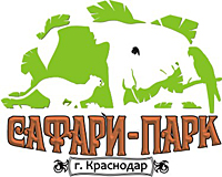 Рисунок сафари парк